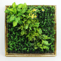 Top sale DIY removable Art 3D plant cafe wall with foliage